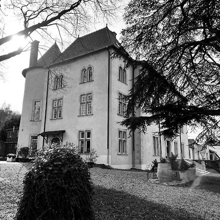 Bed And Breakfast Le Chateau De Morey Belleau Esterno foto