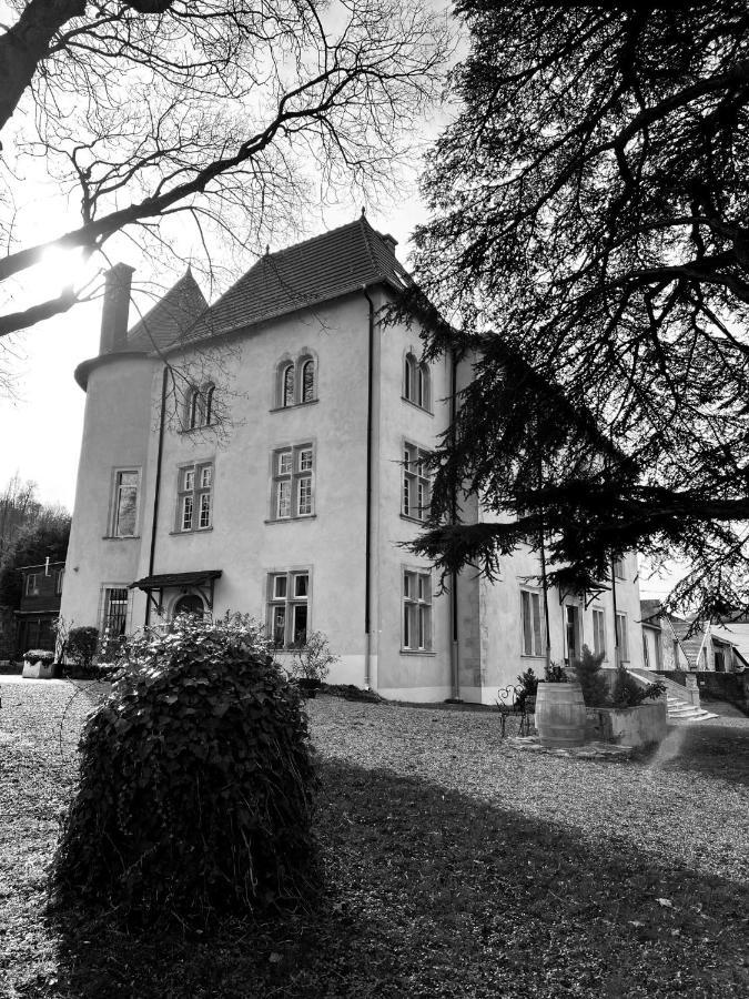 Bed And Breakfast Le Chateau De Morey Belleau Esterno foto